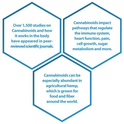 cbd science pure lab global